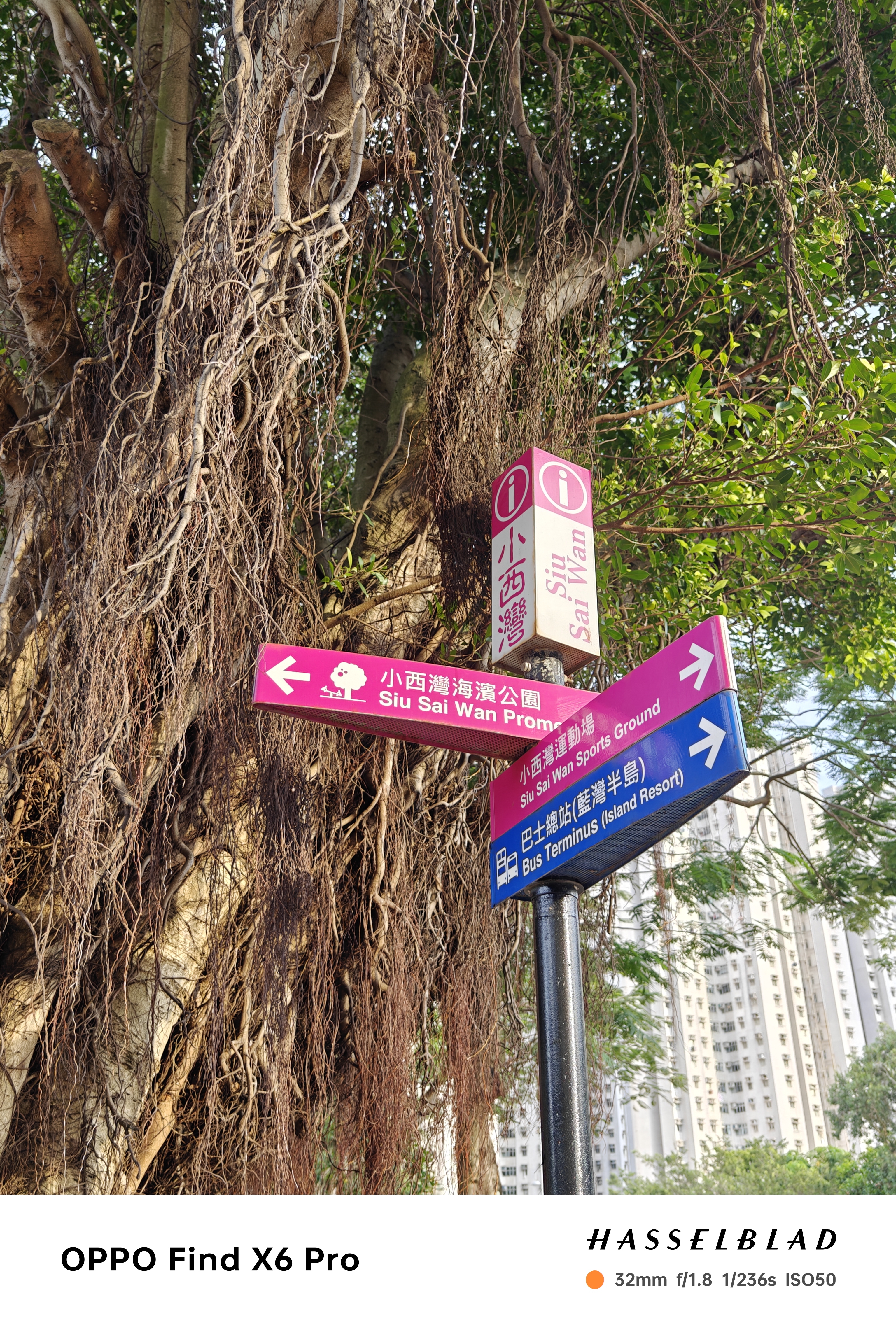 公交车终点站不远处的海滨公园